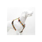 Tailpetz Rainbow H-tipi Göğüs Tasması Ayarlanabilir, Konforlu Ve Dayanıklı Desenli Köpek Tasması