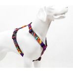 Tailpetz Splash H-tipi Göğüs Tasması Ayarlanabilir, Konforlu Ve Dayanıklı Desenli Köpek Tasması - XS
