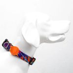 Tailpetz Splash M Köpek Boyun Tasması