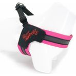 Tailpetz V-Tipi Köpek Göğüs Tasması - Yumuşak Dokulu - Neon Pembe