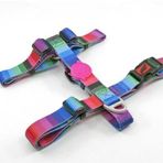 Tailpetz Wave Desenli 19-33x22-37 cm Köpek Göğüs Tasması