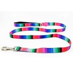 Tailpetz Wave Leash Medium 2x140 cm Köpek Sevk Kayışı