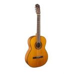 Takamine GC3 NAT Elektro Klasik Gitar