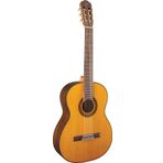 Takamine GC5 NAT Elektro Klasik Gitar