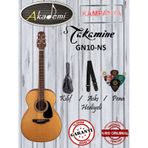 Takamine GN10-NS Akustik Gitar