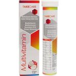 Takecare Multivitamin Multimineral Koenzim Q10 Panax Ginseng 20 Efervesan Tablet