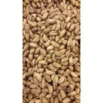 Talas Kuruyemiş 100 gr Orta Boy Antep Fıstığı