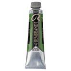 Talens Rembrandt Extra-Fine Seri 2 Sap Green 623 40 ml Yağlı Boya