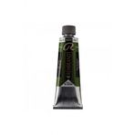 Talens Rembrandt Yağlı Boya 150ML Sap Green 623 S.2