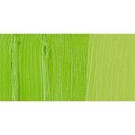 Talens RT2086173 200 ml Yellowısh Green Van Gogh Yağlı Boya