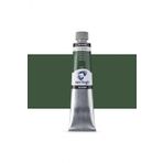 Talens Van Gogh Yağlı Boya 200ML Green Earth (Terre Verte) 629 S.1