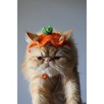 Talinhandmade El Yapımı Kedi Şapkası - Turuncu