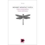 Tam Karşımda, Tam Ortada / Mehmet Mümtaz Tuzcu / Alakarga Sanat Yayınları