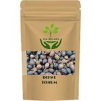 Tan Organik Defne Tohumu 1.kalite 25GR - 1 Adet