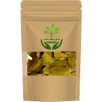 Tan Organik Ginko Biloba Yaprağı (Mabet Ağacı) 1 kg - 1 Adet