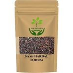 Tan Organik Hardal Tohumu Siyah 500 gr - 1 Adet
