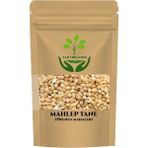Tan Organik Mahlep Tane 75 gr - 1 Adet