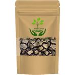 Tan Organik Servi Kozalağı (Cupressus Sempervirens) 1kg - 1 Adet