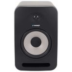 Tannoy REVEAL 802 Stüdyo Çift Monitör