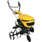 Taral 23M Pmg168fb Benzinli Capa Makinasi 3+1