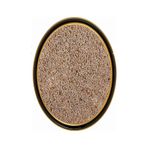 Tarihi Heybeli Baharat 1 kg Karnıyarık Otu Tohumu