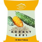 Tarım Evim 10 Adet Kudret Narı Tohumu