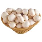 Tarımsal ve Hayvansal Ürünler 100 ml Kültür Mantarı Tohumu (Sıvı Mantar Miseli) - 100 Adet