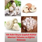 Tarımsal ve Hayvansal Ürünler 150 Adet Beyaz Şapkalı Kültür Mantarı Tohumu ve Eğitim Kılavuzu - 1 Adet