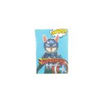 Taros Vintage Label - Super Miao Sert Kapak Defter 9X14 (2025)