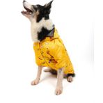 Tarpaws Umbrella Yağmurluk - KÖPEK MONTU , KÖPEK CEKETİ - 2XS - Sarı