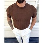 Tarz Cool Erkek Polo Yaka Çizgili Triko T-Shirt - XL - Kahverengi