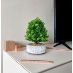 Taş Desenli Beton Saksıda Dekoratif Çakıl Ağaç (14×30 cm) - Beyaz