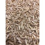 Tasarım Kuşevi Vivid Soyulmuş İç Yulaf Yemi 1kg Kafes Kuşları İçin Taze ve Elenmiş Muhabbet Yemleri