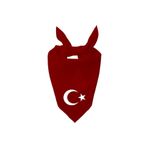 Tasarım Trend Ayyıldız Tasarım Tek Renk Fular