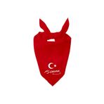 Tasarım Trend Ayyıldız Ve K.Atatürk Imzalı Tasarım Tek Renk Fular