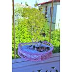 Tasaryum Cama Asılan Kedi Yatağı El Yapımı - Pembe