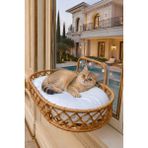 Tasaryum Store Cam Yatağı Vantuzlu Hamak Kahverengi Kedi Köpek İçin Konforlu ve Şık Dinlenme Alanı