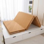 Taşınabilir Üç Katlı Yer Yatağı, Yıkanabilir Kılıflı, Çift Taraflı Tek Kişilik, Araba Çadırı için Katlanabilir ve Kompakt (200 x 100 x 5,5 cm Turuncu)