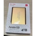 TAŞINABİLİR4TB SSD