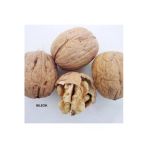 Taşkar Peyzaj Bilecik Ceviz Fidanı Aşılı ( Açık Köklü \ 60-80 Cm)