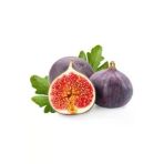 Taşkar Peyzaj Bursa Siyah Incir ( Yediveren) Fidanı ( 60-100 Cm)