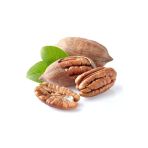 Taşkar Peyzaj Pikan Ceviz Fidanı ( 40-80 Cm)Tüplü