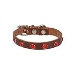 Taşlı Kedi Ve Yavru Köpek Tasması 1,5X29 Cm Kahverengi Xlarge