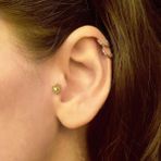 Taşlı Yunus Balığı Tragus Küpe