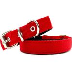 Tasma Market Sarı Yumuşak Dokulu Küçük Irk Yavru Kolon Köpek Tasması - Standart - Kırmızı