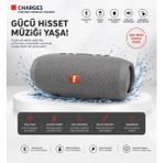Tastech Charge3 Bluetooth Hoparlör USB ve Hafıza Kartı Girişli Fm Radyolu Şarjlı Taşınabilir Kablosuz Speaker Mp3 Çalar Tüm Cihazlara Uyumlu-Gri