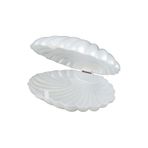 TATLI GÜNLER KUTU İSTİRİDYE İNCİ PLASTİK SEDEF