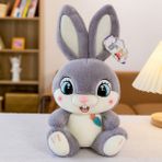 Tavşan Bebek Peluş Oyuncak Doğum Günü Hediyesi Çocuklar Için Sevimli Bebek Sevgiliye Büyük Gözlü Tavşan 50 cm (Yurt Dışından) - Açık Gri