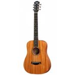 Taylor BT-2 Akustik Gitar