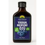 Taze Dükkan Yaban Mersini Özü Doğal Içerikli 250GR - 250 gr